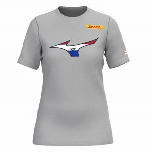 Mizuno Nevobo Nederland T Shirts Dame Grå | Danmark M7298NY