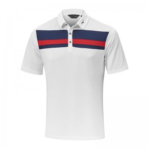 Mizuno Quick Dry Citizen Polo Herre Hvide | Danmark M4263BY