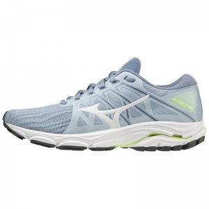 Mizuno Wave Equate 6 Løbesko Dame Blå | Danmark M4165MS