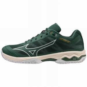 Mizuno Wave Exceed Light CC Tennissko Herre Hvide | Danmark M9034QJ