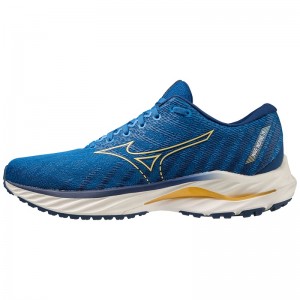 Mizuno Wave Inspire 19 Løbesko Herre Blå Blå | Danmark M4015RA