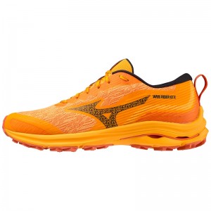 Mizuno Wave Rider GTX Løbesko Herre Sort | Danmark M8906MI