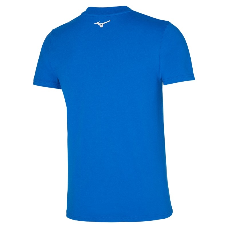 Mizuno Grafisk Tee T Shirts Herre Blå | Danmark M2168GW