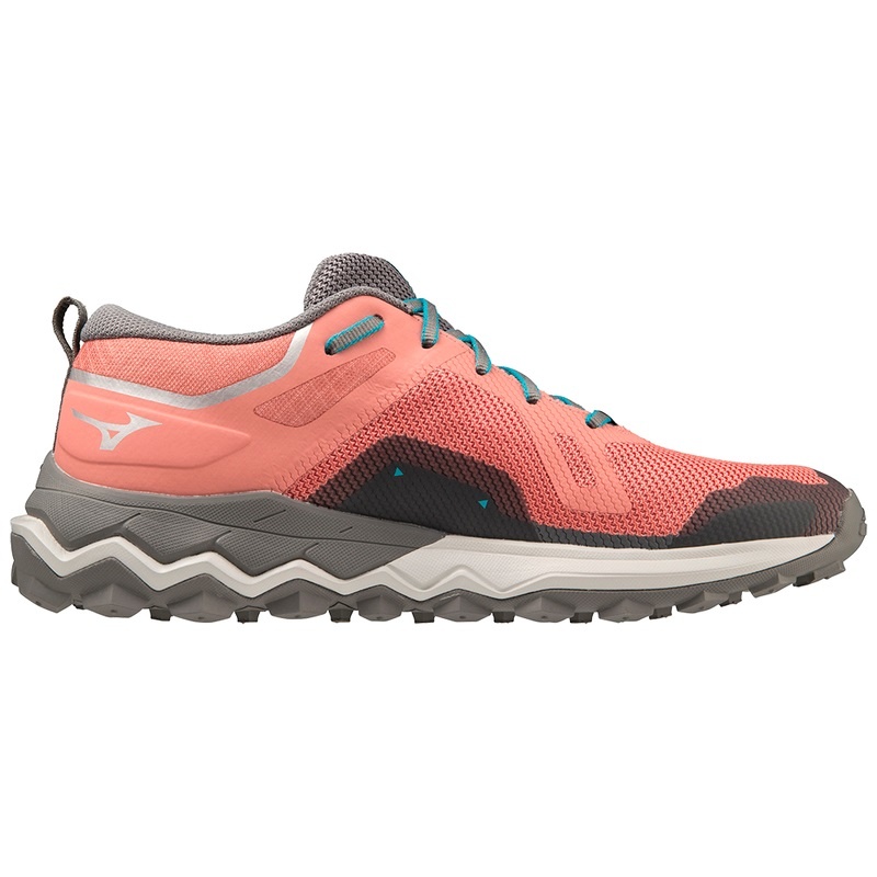 Mizuno Wave Ibuki 4 GTX Løbesko Dame Blå | Danmark M5386LN