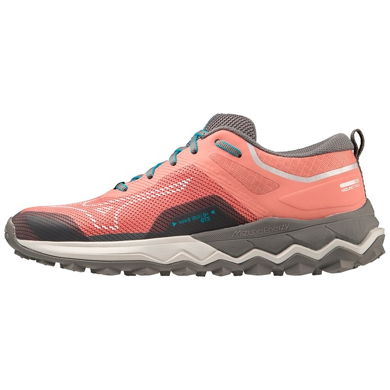 Mizuno Wave Ibuki 4 GTX Løbesko Dame Blå | Danmark M5386LN