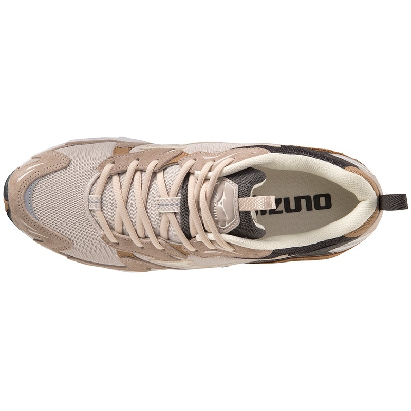 Mizuno Wave Rider 10 Premium Sneakers Dame Sølv Hvide | Danmark M6890HS