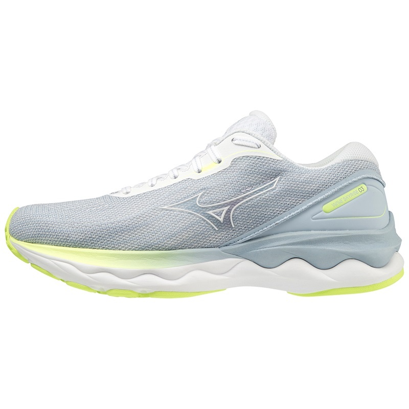 Mizuno Wave Skyrise 3 Løbesko Dame Blå | Danmark M9752BK